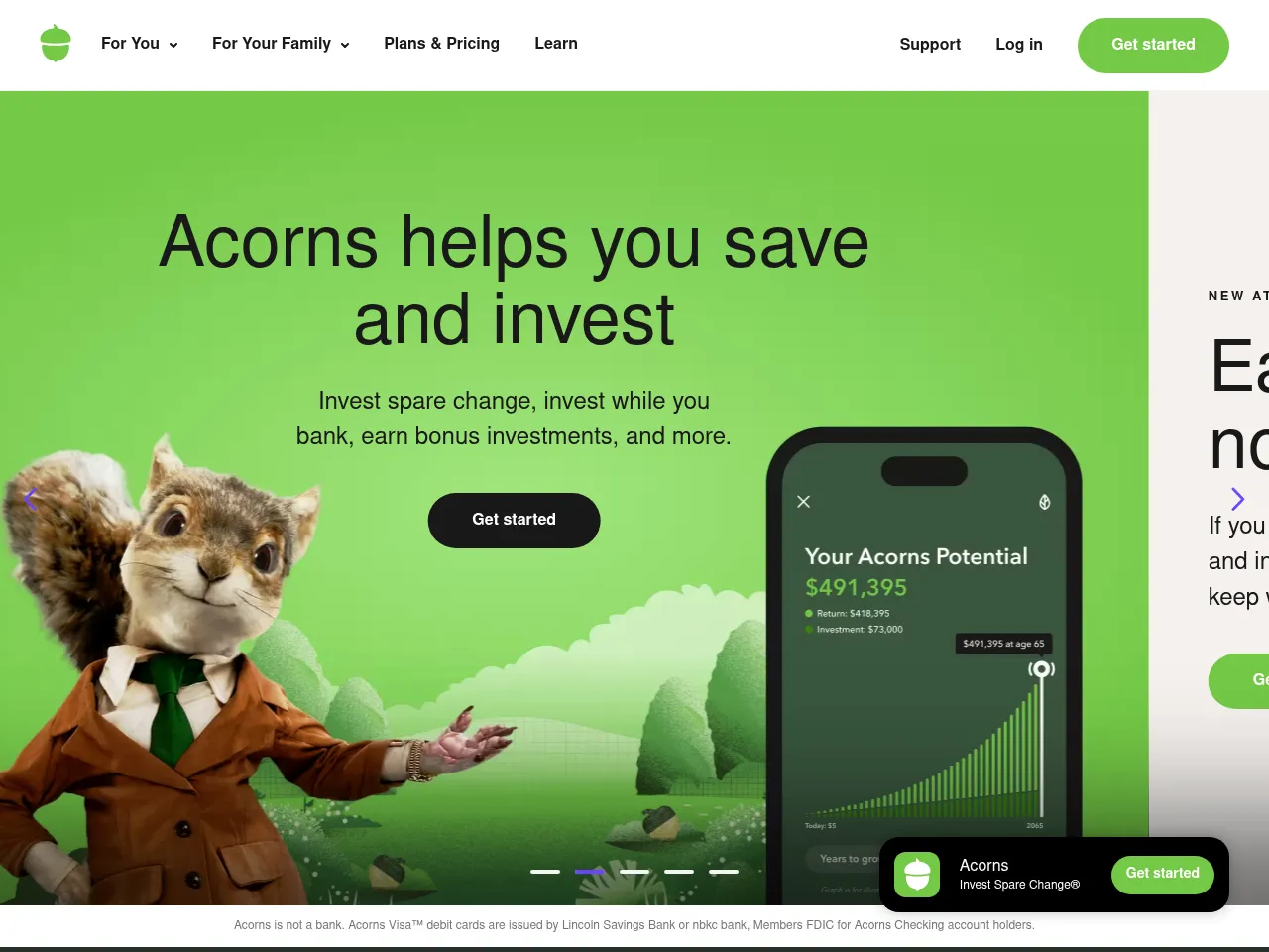 Acorns